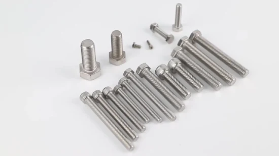 Custom Special Fastener Stainless Steel A2/A4 Hex Machine Screws Inox AISI 304/316 Hexagon Head Bolts Hex Bolt and Nut Cold Forming Parts Assembly Parts